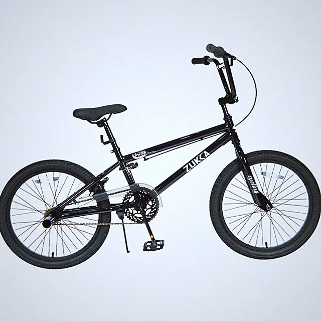 20 Inch Kids Bike Freestyle Single Speed Bicycle for Boys Girls Age 7+