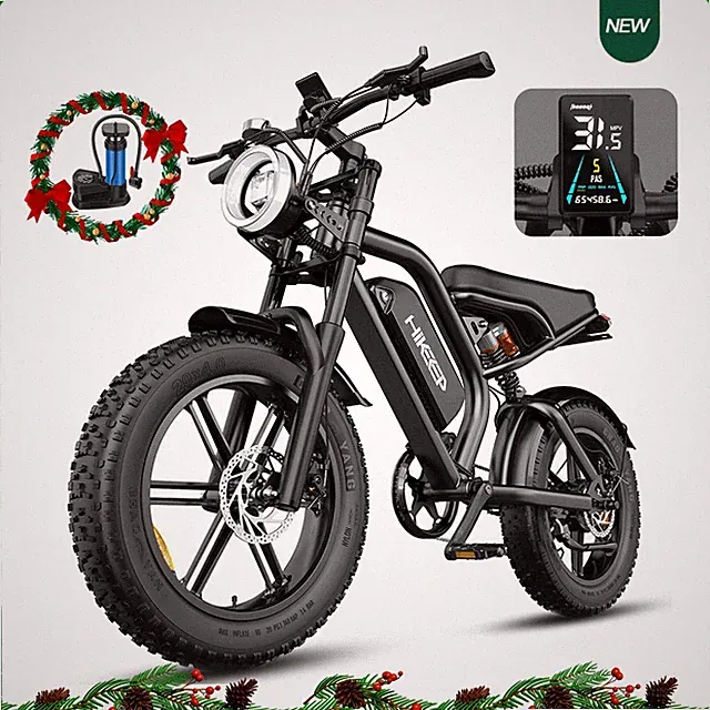 Hikeep Mountain ebike 1000W Peak 20" Fat Tire Electric Bike for Adults 48V/15Ah