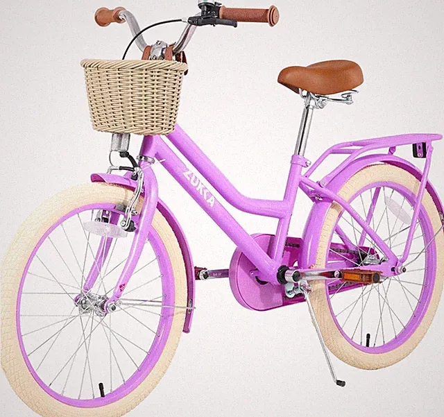 ZUKKA 20 Inch Girls Bike for Kids, Single Speed Kids' Bicycles with Basket